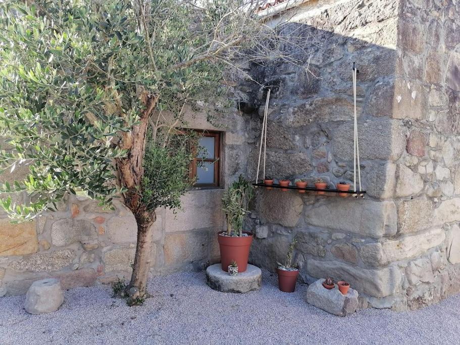 Villa Cristina Nigrán Εξωτερικό φωτογραφία
